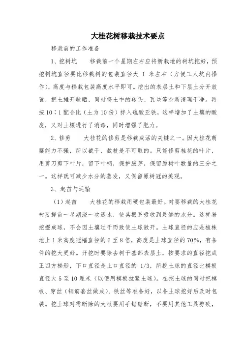 大桂花树移栽技术要点