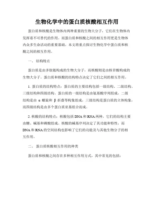 生物化学中的蛋白质核酸相互作用