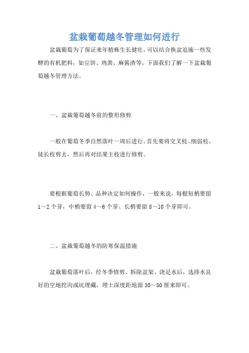盆栽葡萄越冬管理如何进行