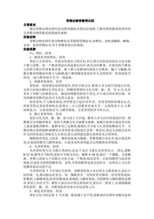 各类脊椎动物骨骼得比较