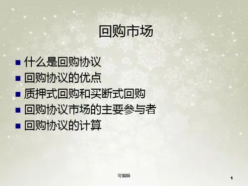 回购市场PPT课件