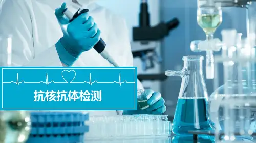 临床免疫检验：抗核抗体检测 