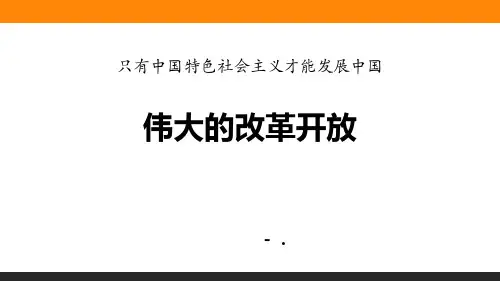 《伟大的改革开放》只有中国特色社会主义才能发展中国PPT