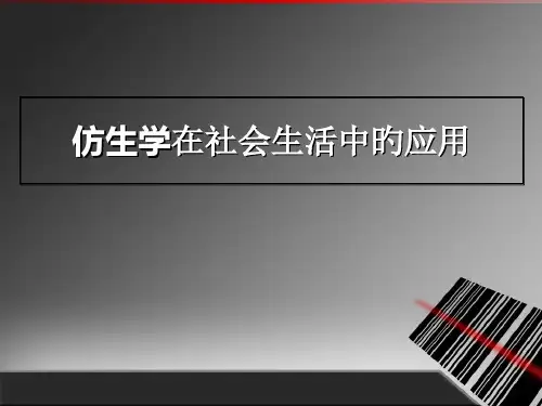 仿生学和其应用