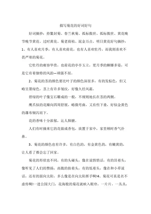 描写菊花的好词好句
