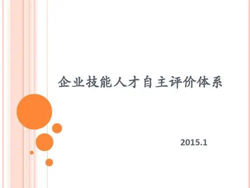 企业自主评价(1)