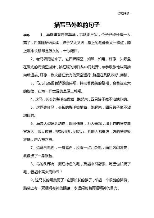 描写马外貌的句子