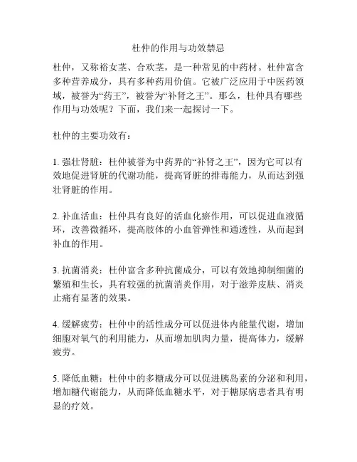 杜仲的作用与功效禁忌