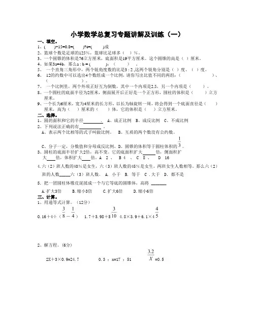 小学数学总复习专题讲解及训练5套附答案