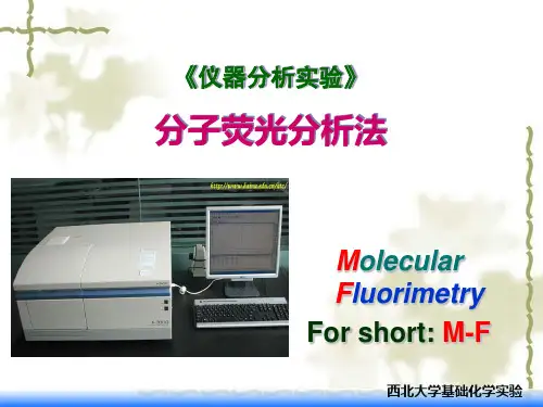 《仪器分析实验》分子荧光分析法