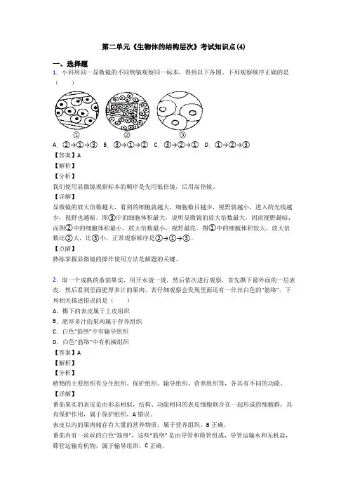 第二单元《生物体的结构层次》考试知识点(4)