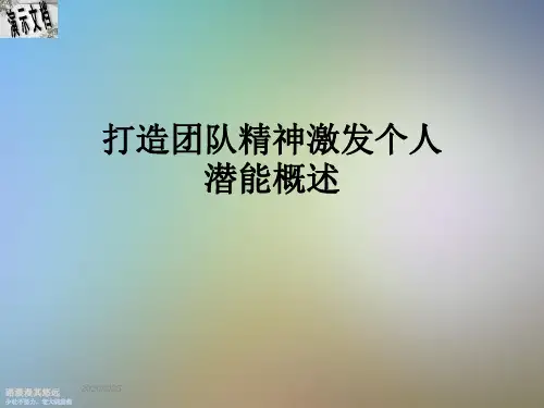 打造团队精神激发个人潜能概述