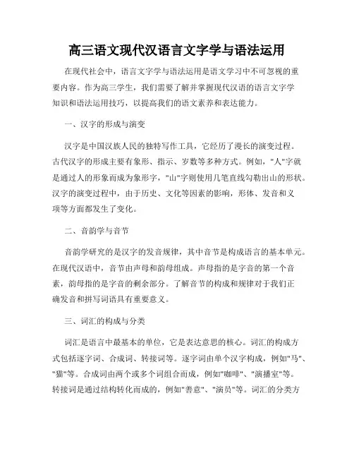高三语文现代汉语言文字学与语法运用