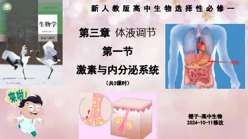 人教版高中生物选择性必修一  第3章第1节 激素与内分泌系统 新课课件