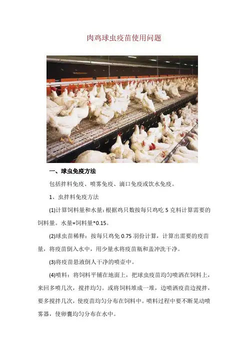 肉鸡球虫疫苗使用问题