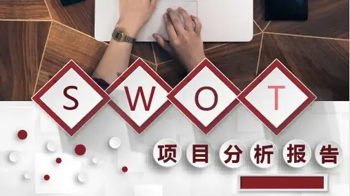 SWOT数据可视化分析项目分析专用PPT模板