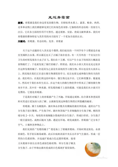走近青霉菌