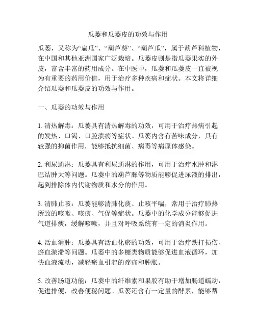 瓜蒌和瓜蒌皮的功效与作用