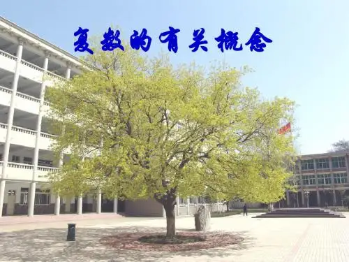 复数的有关概念说课