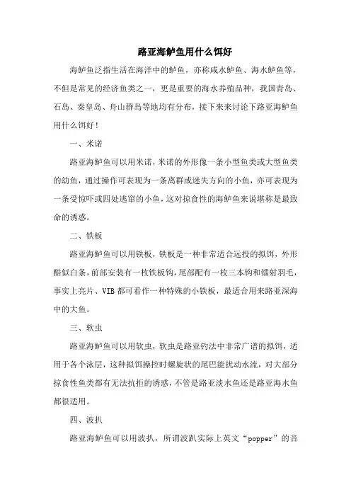 钓鱼技巧：路亚海鲈鱼用什么饵好