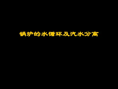 《锅炉及锅炉房设备》锅炉水循环及汽水分离