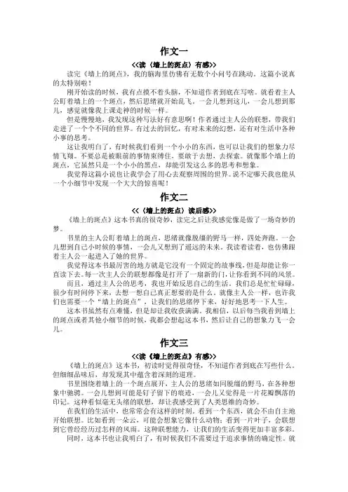 墙上的斑点读后感400字