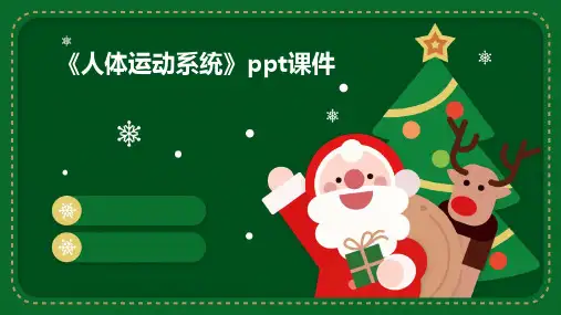 《人体运动系统》课件