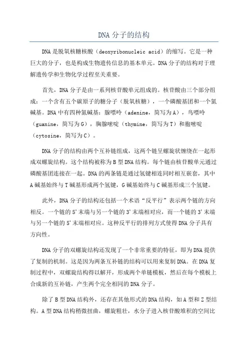 DNA分子的结构