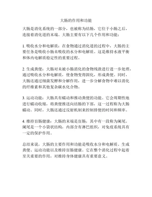 大肠的作用和功能