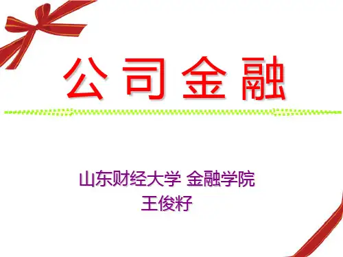 《公司金融》第1章.导论