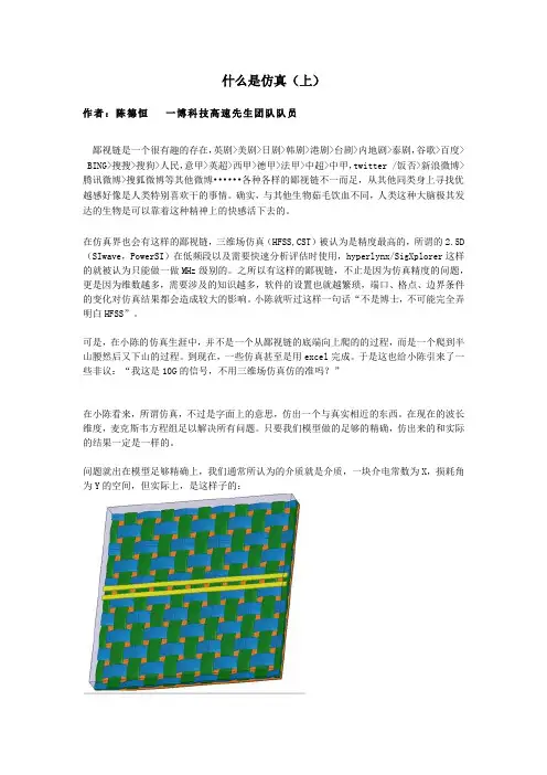 什么是仿真(上)