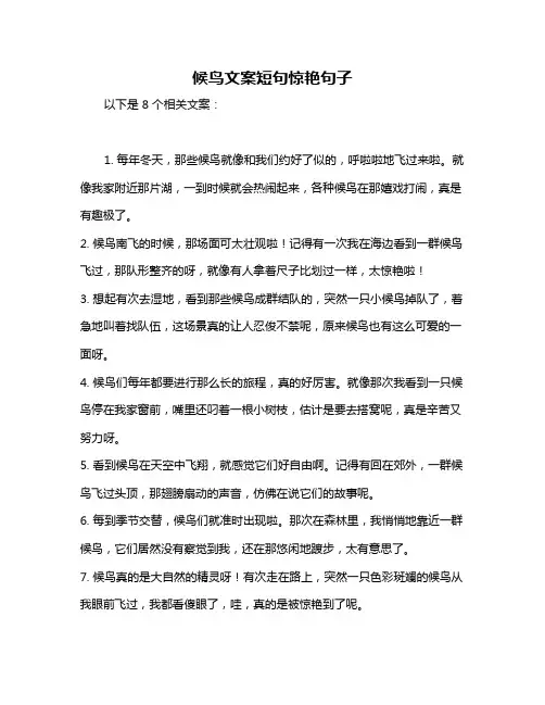 候鸟文案短句惊艳句子