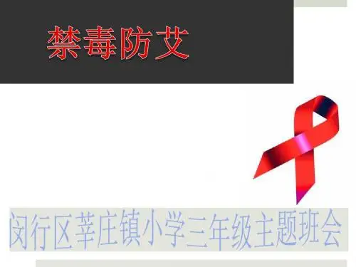 禁毒防艾主题班会演示课件