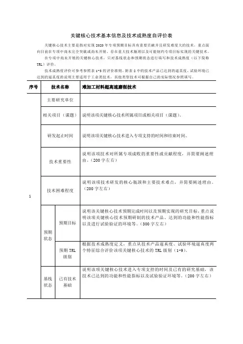 关键核心技术基本信息及技术成熟度自评价表(模板)01