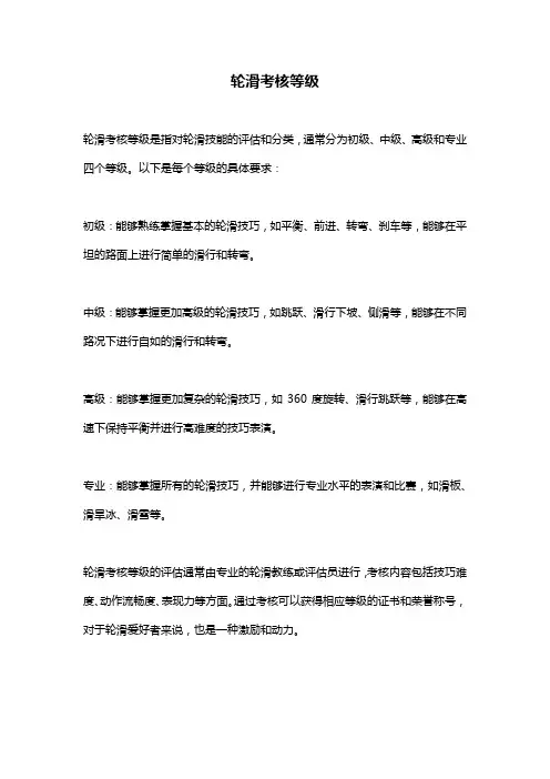 轮滑考核等级