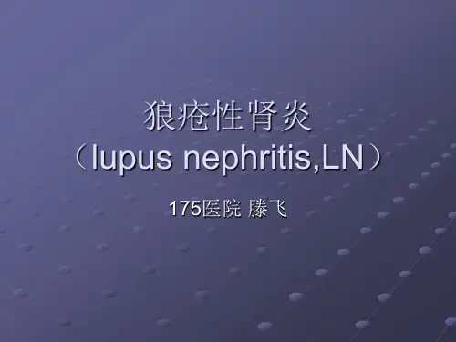 狼疮性肾炎