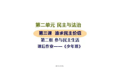 新部编人教版九年级上册道德与法治 第二框 参与民主生活 重点题型课件