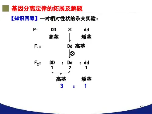 孟德尔遗传定律的拓展及解题