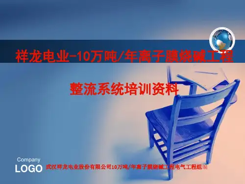 万吨年离子膜电气项目整流系统培训教材