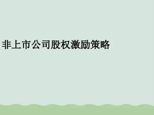 公司股权激励策略案例PPT(共51页)