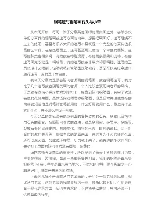 钢笔速写钢笔画石头与小草