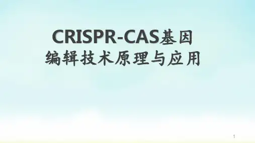crisprcas基因编辑技术原理与应用 ppt课件