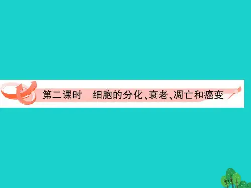 高三生物复习第六章细胞的分化衰老和凋亡第二课时精品课件省公开课一等奖新名师优质课获奖课件