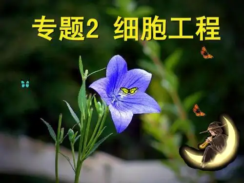 2-1植物细胞工程自制课件(3课时)