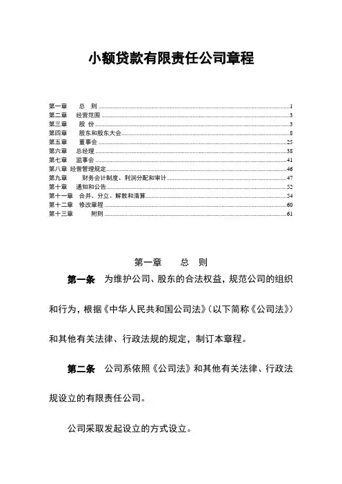 最新小额贷款公司章程