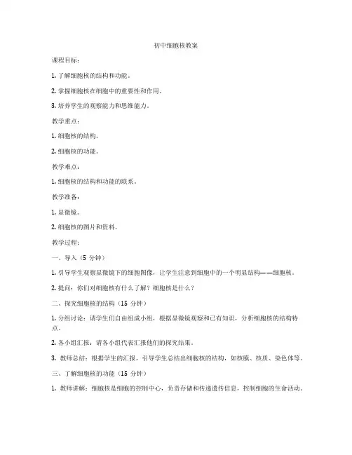 初中细胞核教案