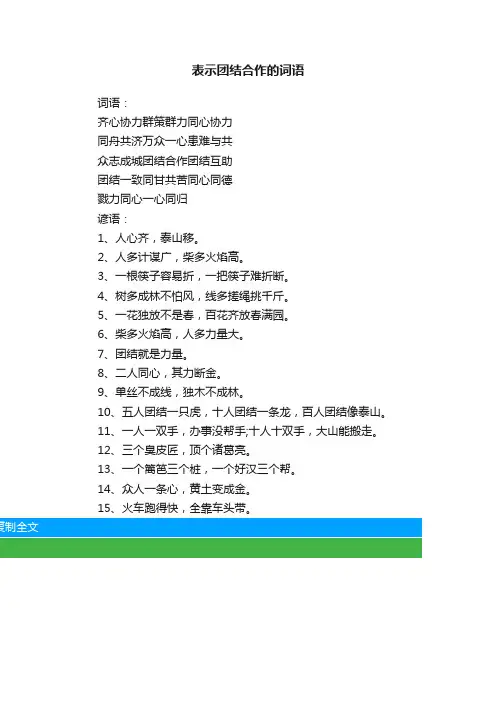 表示团结合作的词语