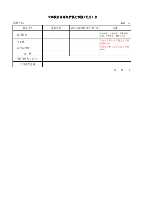 大学校级课题经费执行预算(通用)表