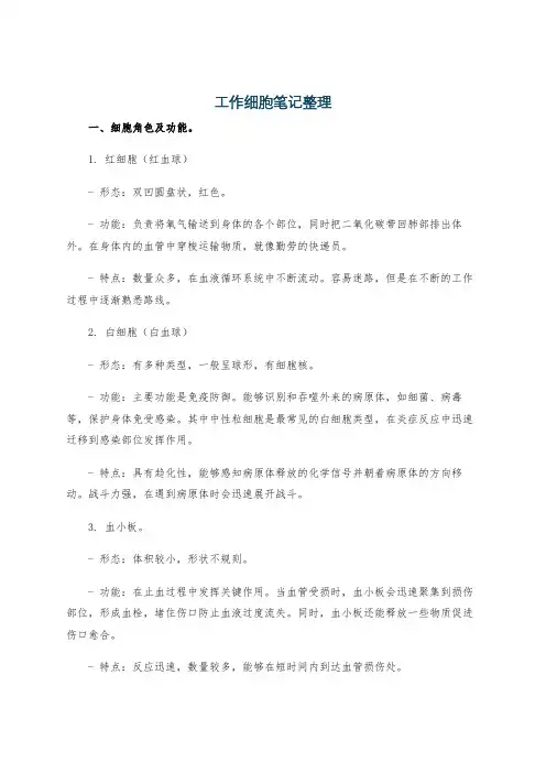 工作细胞笔记整理