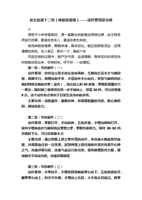 养生促波十二势（伸筋拔骨操）——动作要领及功效